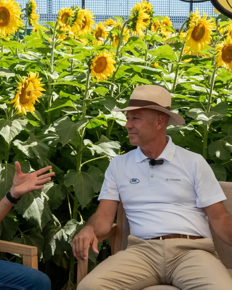 Entrevista a Paco Pérez Brea de NK Semillas entre girasoles